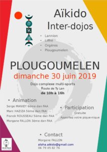 Affiche de l'inter-dojos du 30 juin 2019 à Plougoumelen avec le logo ryu gris en sur-impression